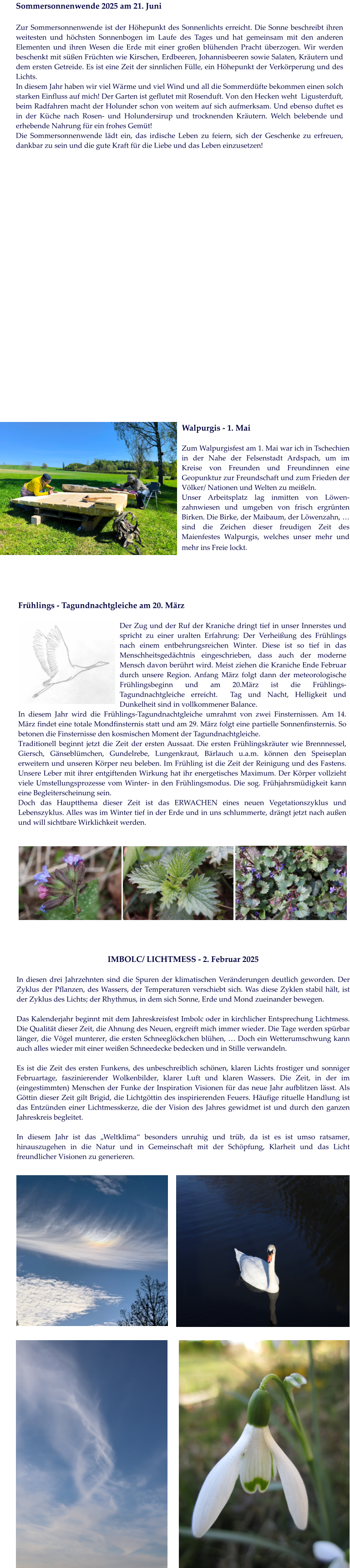 Walpurgis - 1. Mai   Zum Walpurgisfest am 1. Mai war ich in Tschechien in der Nahe der Felsenstadt Ardspach, um im Kreise von Freunden und Freundinnen eine Geopunktur zur Freundschaft und zum Frieden der Völker/ Nationen und Welten zu meißeln.  Unser Arbeitsplatz lag inmitten von Löwen-zahnwiesen und umgeben von frisch ergrünten Birken. Die Birke, der Maibaum, der Löwenzahn, … sind die Zeichen dieser freudigen Zeit des Maienfestes Walpurgis, welches unser mehr und mehr ins Freie lockt.   Sommersonnenwende 2025 am 21. Juni  Zur Sommersonnenwende ist der Höhepunkt des Sonnenlichts erreicht. Die Sonne beschreibt ihren weitesten und höchsten Sonnenbogen im Laufe des Tages und hat gemeinsam mit den anderen Elementen und ihren Wesen die Erde mit einer großen blühenden Pracht überzogen. Wir werden beschenkt mit süßen Früchten wie Kirschen, Erdbeeren, Johannisbeeren sowie Salaten, Kräutern und dem ersten Getreide. Es ist eine Zeit der sinnlichen Fülle, ein Höhepunkt der Verkörperung und des Lichts.  In diesem Jahr haben wir viel Wärme und viel Wind und all die Sommerdüfte bekommen einen solch starken Einfluss auf mich! Der Garten ist geflutet mit Rosenduft. Von den Hecken weht  Ligusterduft, beim Radfahren macht der Holunder schon von weitem auf sich aufmerksam. Und ebenso duftet es in der Küche nach Rosen- und Holundersirup und trocknenden Kräutern. Welch belebende und erhebende Nahrung für ein frohes Gemüt!  Die Sommersonnenwende lädt ein, das irdische Leben zu feiern, sich der Geschenke zu erfreuen, dankbar zu sein und die gute Kraft für die Liebe und das Leben einzusetzen!   IMBOLC/ LICHTMESS - 2. Februar 2025   In diesen drei Jahrzehnten sind die Spuren der klimatischen Veränderungen deutlich geworden. Der Zyklus der Pflanzen, des Wassers, der Temperaturen verschiebt sich. Was diese Zyklen stabil hält, ist der Zyklus des Lichts; der Rhythmus, in dem sich Sonne, Erde und Mond zueinander bewegen.   Das Kalenderjahr beginnt mit dem Jahreskreisfest Imbolc oder in kirchlicher Entsprechung Lichtmess. Die Qualität dieser Zeit, die Ahnung des Neuen, ergreift mich immer wieder. Die Tage werden spürbar länger, die Vögel munterer, die ersten Schneeglöckchen blühen, … Doch ein Wetterumschwung kann auch alles wieder mit einer weißen Schneedecke bedecken und in Stille verwandeln.   Es ist die Zeit des ersten Funkens, des unbeschreiblich schönen, klaren Lichts frostiger und sonniger Februartage, faszinierender Wolkenbilder, klarer Luft und klaren Wassers. Die Zeit, in der im (eingestimmten) Menschen der Funke der Inspiration Visionen für das neue Jahr aufblitzen lässt. Als Göttin dieser Zeit gilt Brigid, die Lichtgöttin des inspirierenden Feuers. Häufige rituelle Handlung ist das Entzünden einer Lichtmesskerze, die der Vision des Jahres gewidmet ist und durch den ganzen Jahreskreis begleitet.   In diesem Jahr ist das „Weltklima“ besonders unruhig und trüb, da ist es ist umso ratsamer, hinauszugehen in die Natur und in Gemeinschaft mit der Schöpfung, Klarheit und das Licht freundlicher Visionen zu generieren.   Frühlings - Tagundnachtgleiche am 20. März   Der Zug und der Ruf der Kraniche dringt tief in unser Innerstes und spricht zu einer uralten Erfahrung: Der Verheißung des Frühlings nach einem entbehrungsreichen Winter. Diese ist so tief in das Menschheitsgedächtnis eingeschrieben, dass auch der moderne Mensch davon berührt wird. Meist ziehen die Kraniche Ende Februar durch unsere Region. Anfang März folgt dann der meteorologische Frühlingsbeginn und am 20.März ist die Frühlings- Tagundnachtgleiche erreicht.  Tag und Nacht, Helligkeit und Dunkelheit sind in vollkommener Balance.  In diesem Jahr wird die Frühlings-Tagundnachtgleiche umrahmt von zwei Finsternissen. Am 14. März findet eine totale Mondfinsternis statt und am 29. März folgt eine partielle Sonnenfinsternis. So betonen die Finsternisse den kosmischen Moment der Tagundnachtgleiche. Traditionell beginnt jetzt die Zeit der ersten Aussaat. Die ersten Frühlingskräuter wie Brennnessel, Giersch, Gänseblümchen, Gundelrebe, Lungenkraut, Bärlauch u.a.m. können den Speiseplan erweitern und unseren Körper neu beleben. Im Frühling ist die Zeit der Reinigung und des Fastens. Unsere Leber mit ihrer entgiftenden Wirkung hat ihr energetisches Maximum. Der Körper vollzieht viele Umstellungsprozesse vom Winter- in den Frühlingsmodus. Die sog. Frühjahrsmüdigkeit kann eine Begleiterscheinung sein.  Doch das Hauptthema dieser Zeit ist das ERWACHEN eines neuen Vegetationszyklus und Lebenszyklus. Alles was im Winter tief in der Erde und in uns schlummerte, drängt jetzt nach außen und will sichtbare Wirklichkeit werden.